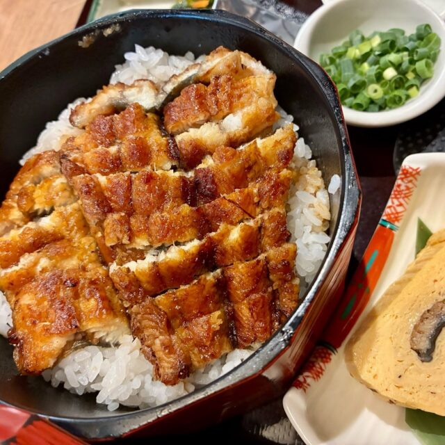 瑞浪市｜白焼きと蒲焼き、あなたはどっち派？迷ったら紅白丼で両方！