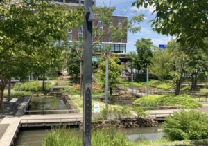 多治見市｜夏にはプチ散歩に水遊びも！歴史的用水をアレンジした街なかオアシス