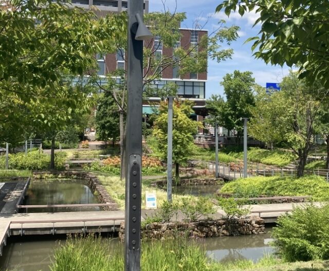 多治見市｜夏にはプチ散歩に水遊びも！歴史的用水をアレンジした街なかオアシス