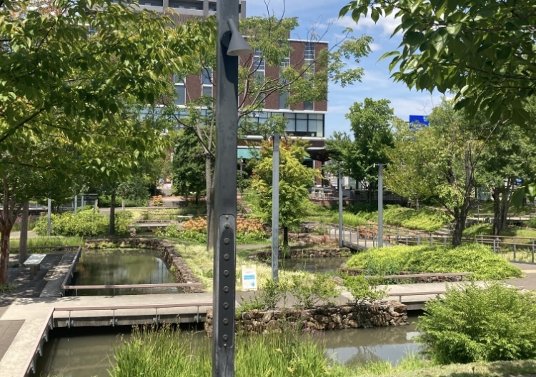 多治見市｜夏にはプチ散歩に水遊びも！歴史的用水をアレンジした街なかオアシス