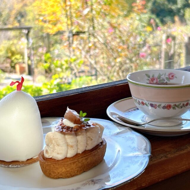 御嵩町｜静かな時間が流れる場所…。愛され続ける森のケーキ香房