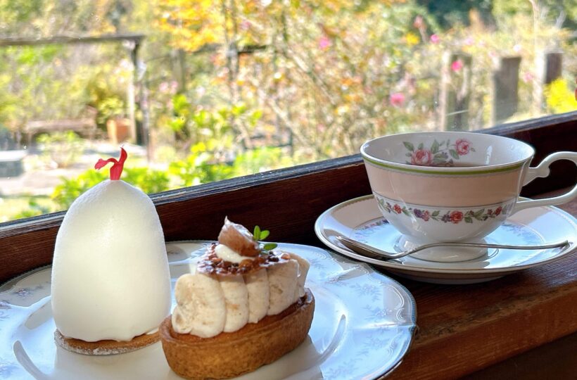 御嵩町｜静かな時間が流れる場所…。愛され続ける森のケーキ香房