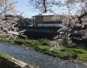 多治見市｜水辺、鉄道、歴史……【太平公園～虎渓用水広場】をゆったり春散歩