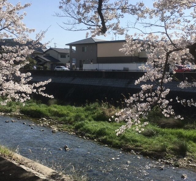 多治見市｜水辺、鉄道、歴史……【太平公園～虎渓用水広場】をゆったり春散歩