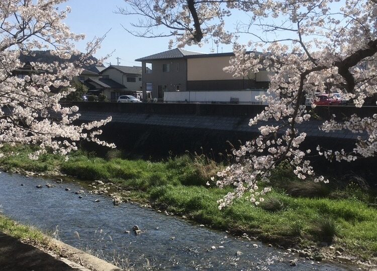多治見市｜水辺、鉄道、歴史……【太平公園～虎渓用水広場】をゆったり春散歩