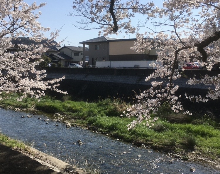 多治見市｜水辺、鉄道、歴史……【太平公園～虎渓用水広場】をゆったり春散歩
