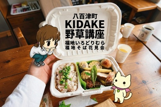 八百津町｜野草講座を体験！歩いて、味わって、福地の自然を楽しむ
